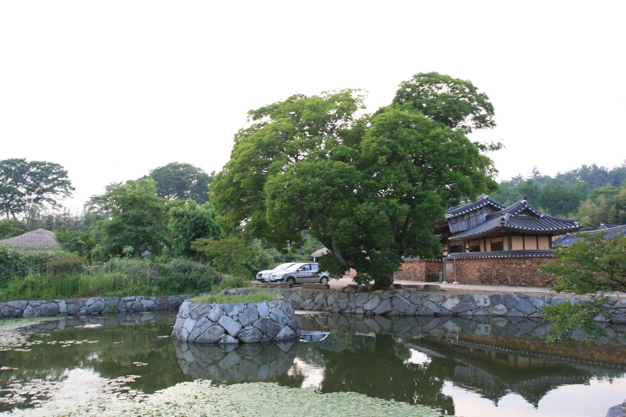 Jinrae Lee'S Traditional House Boseong Buitenkant foto